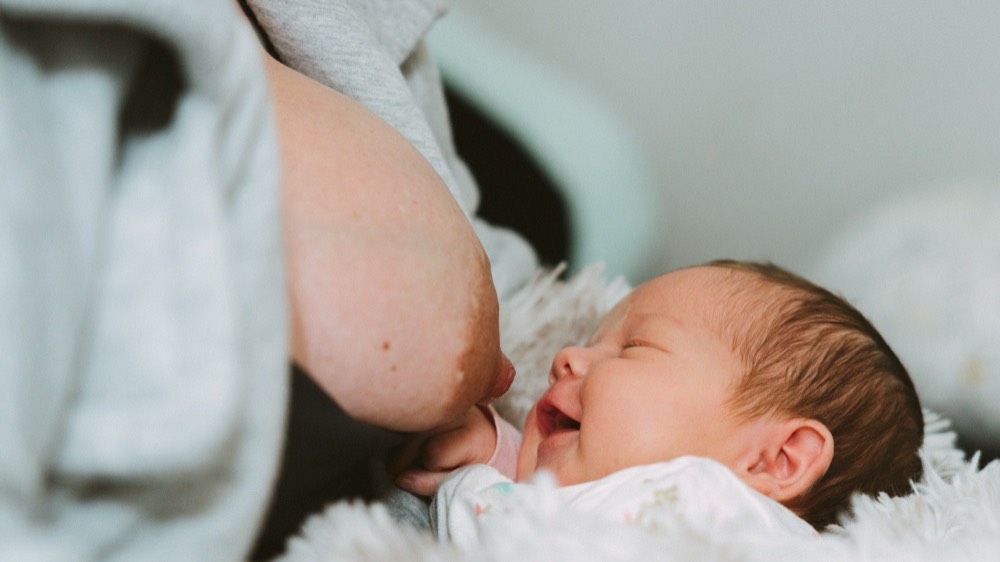 Close-up detail of a very engorged bare breast/nipple being directed toward a newborn's mouth lying on a fluffy white rug. Explicit breastfeeding-positioning detail.